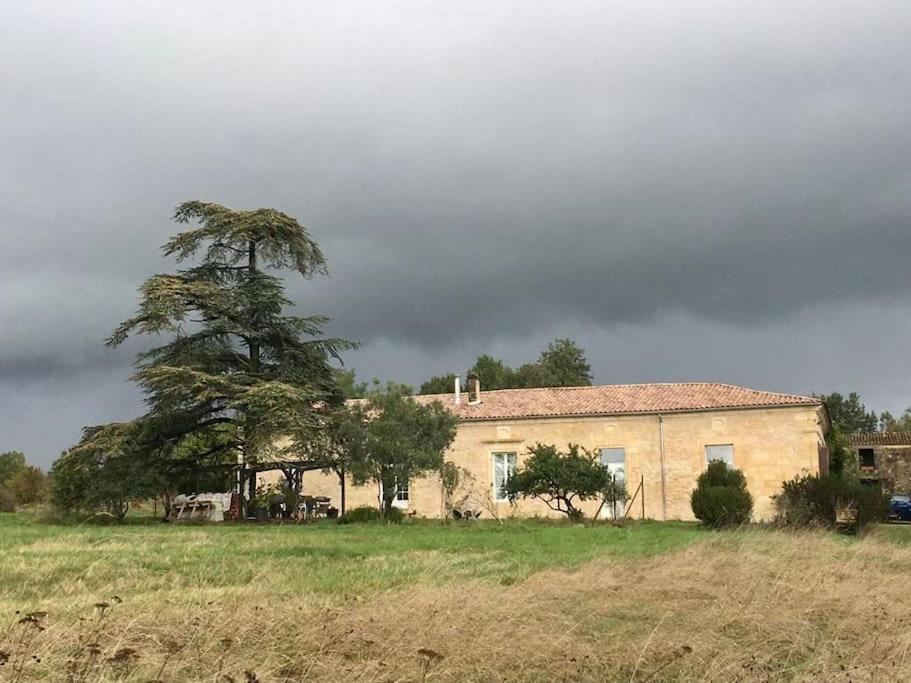 Beau Gite Dans Domaine Viticole & Arboricole Cursan Eksteriør bilde