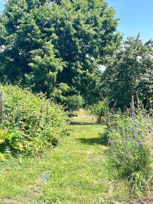 Beau Gite Dans Domaine Viticole & Arboricole Cursan Eksteriør bilde